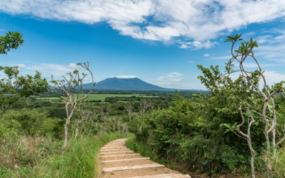 More Than a Retreat: Why Nekupe Calls Itself a Reserve