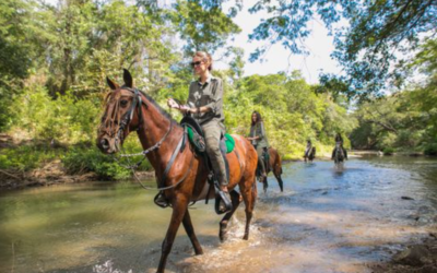 Riding the Reserve: Seeing Nekupe on Horseback