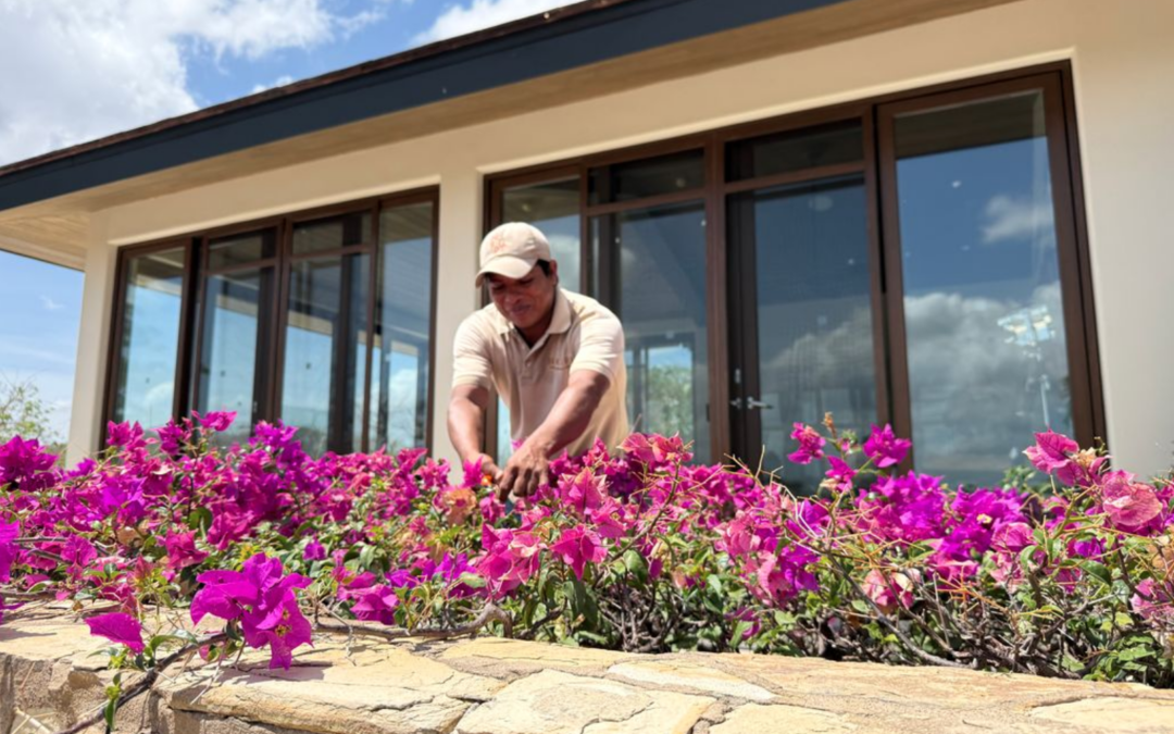 Where Beauty Thrives: The Hands Behind Nekupe’s Gardens