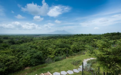 From Sustainability to Regeneration: What Nekupe’s Restoration Actually Means